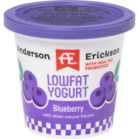 Blueberry Lowfat Yogurt