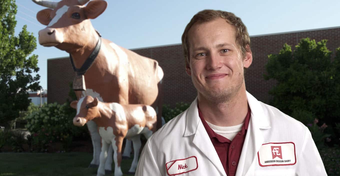 AE Dairy